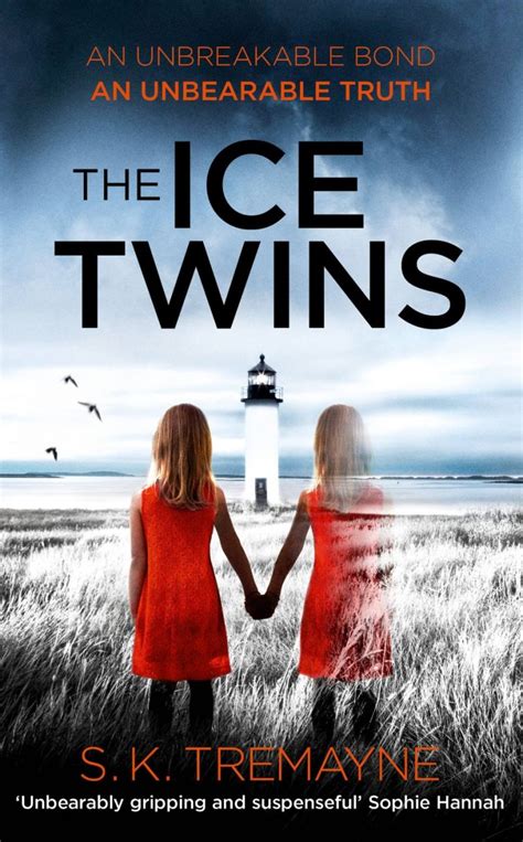 The Ice Twins by S.K. Tremayne 